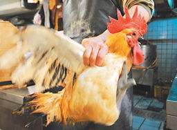 專家稱H7N9人傳人可能性低，活禽市場是感染源頭