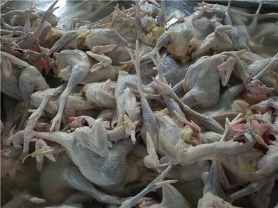 昆明擬禁活禽交易宰殺引熱議 農業局回應 生鮮水產品不受影響，保障安全與供應是關鍵