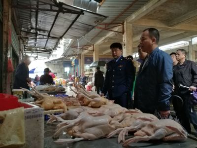 守護舌尖安全 廈門同安查處7個違規活禽宰殺攤點，聚焦水產品流通合規