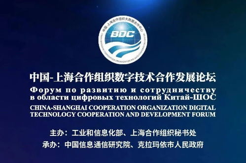 數字賦能龜茲文化 上合框架下的文化傳承與產業融合新路徑