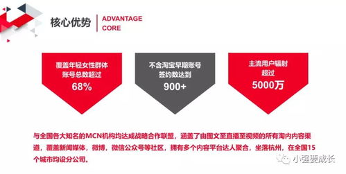 內(nèi)容營(yíng)銷新生態(tài) MCN機(jī)構(gòu)賦能下的數(shù)字文化創(chuàng)意內(nèi)容應(yīng)用服務(wù)